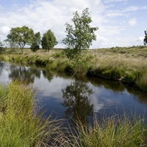 Womere Pool - Cannock Chase AONB - Staffordshire UK