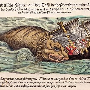 1560 Gesner Whale attacks ship