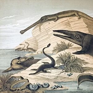 1862 British prehistoric marine reptiles