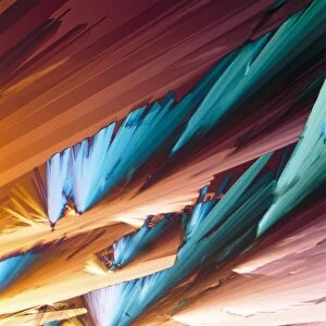 Adenosine crystals, light micrograph