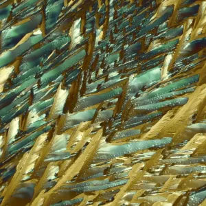 Print of Adrenaline Crystals under Polarized Light Microscopy Print of Adrenaline Crystals under Polarized Light Microscopy