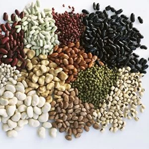Assorted pulses C014 / 1502