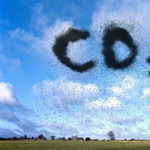 Atmospheric carbon dioxide F008 / 3515