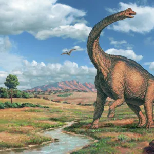 Brachiosaurus dinosaur