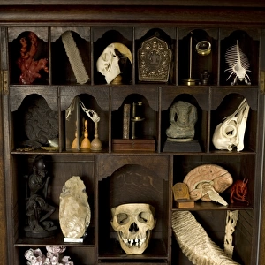 A cabinet of Curiosities