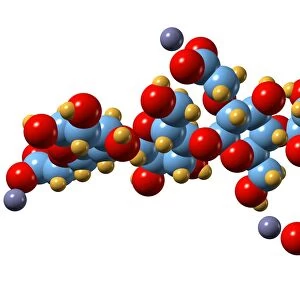 Carboxymethyl cellulose molecule