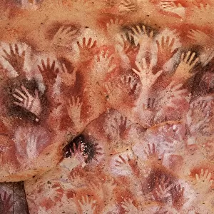Argentina Heritage Sites Tote Bag Collection: Cueva de las Manos, RÝo Pinturas
