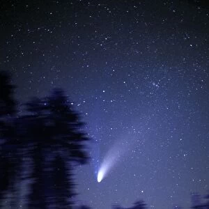 Comet Hale-Bopp 1997 C011 / 1169
