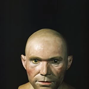 Cro-Magnon man reconstructed head C013 / 6464