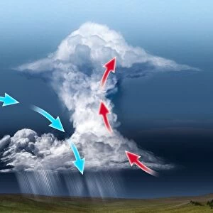 Cumulus thundercloud, diagram C018 / 0293