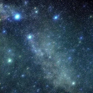 Cygnus Constellation Print Cygnus Constellation Print