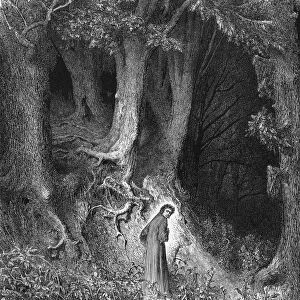 Dantes Inferno, the gloomy wood