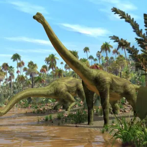 Dinosaurés brachiosaures Dinosaurés brachiosaures