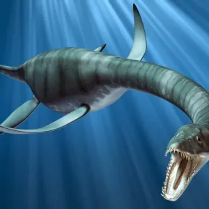 Attaque de plesiosaure, œuvre d'art Attaque de plesiosaure, œuvre d'art