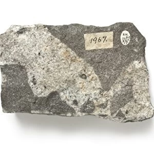 Diorite intruded by microgranite C016 / 6207