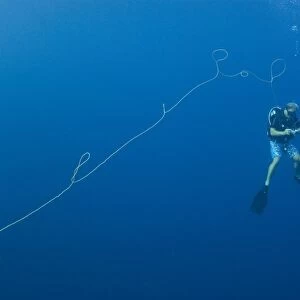 Diver gathering fishing long line