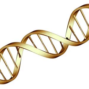 DNA Molecule Print, Double Helix Structure DNA Molecule Print, Double Helix Structure