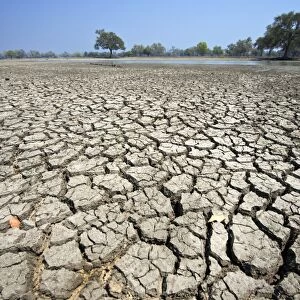 Dry earth, Zimbabwe