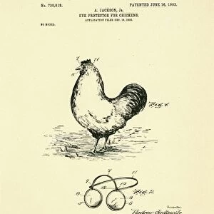 Eyeglasses for chickens patent, 1903 C024 / 3600