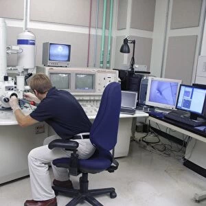 FE scanning electron microscopy C016 / 3821
