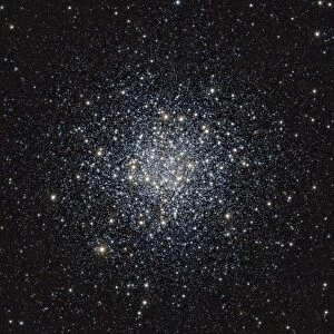 Globular star cluster M55, infrared image C014 / 5042