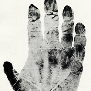 Handprint of gorilla