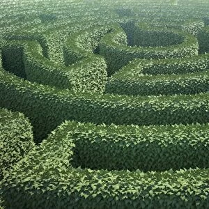 Hedge maze, artwork F006 / 3816
