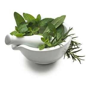 Herbs in a mortar and pestle F007 / 7576