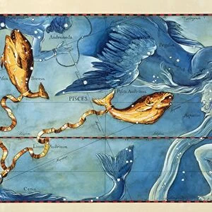 Historical artwork of the constellation of Pisces