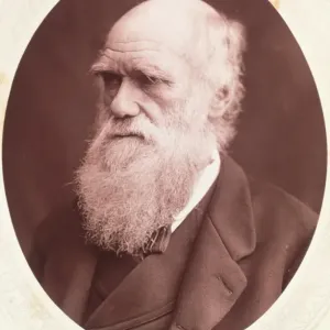 Portrait of Charles Darwin Print Portrait of Charles Darwin Print