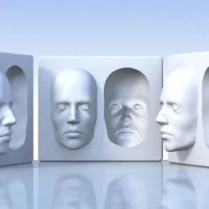 Hollow-face illusion, artwork