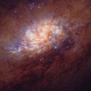 HST image of star birth in galaxy NGC 1808