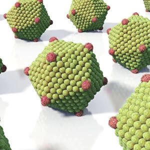 Icosahedral virus particles, artwork