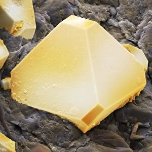 Iron pyrite crystal, SEM