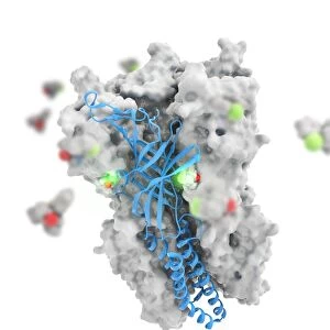 Ketamine drug binding to ion channel