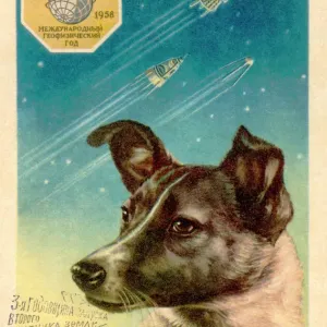 Laika la perro del espacio tarjeta postal.