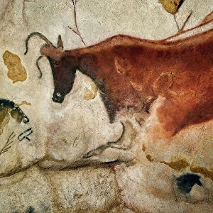 Lascaux II cave painting replica C013 / 7382