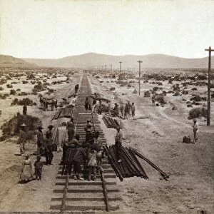 Laying Transcontinental Railroad, 1860s C013 / 9004