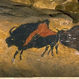 Le Thot replica of Lascaux cave painting C013 / 7374