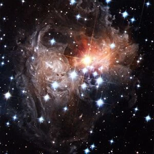 Light echoes around star V838 Monocerotis