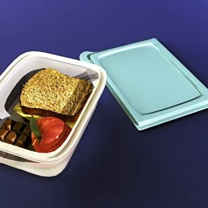 Lunchbox, computer artwork