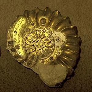 Machina ammonita by Paul D. Stewart