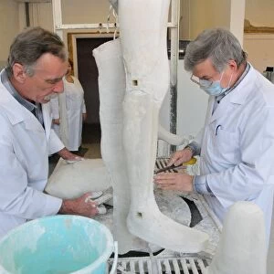 Manufacture of prosthetic limbs