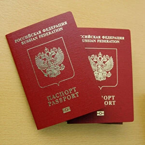 Microchipped passports, Russia