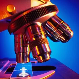 Microscope objective lenses