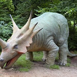 Model styracosaurus dinosaur