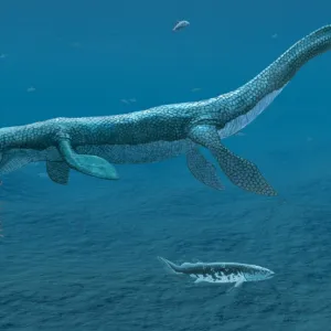 Mosasaurus marine reptile