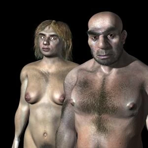 Neanderthal couple, artwork C016 / 5791