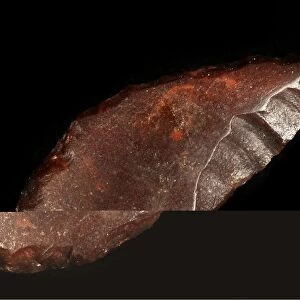 Neolithic flint arrowhead C014 / 1024