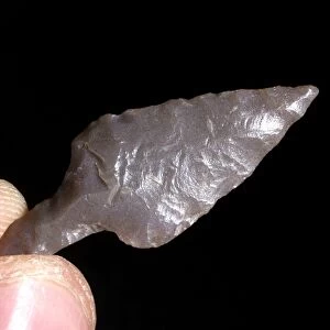 Neolithic flint arrowhead C014 / 1025